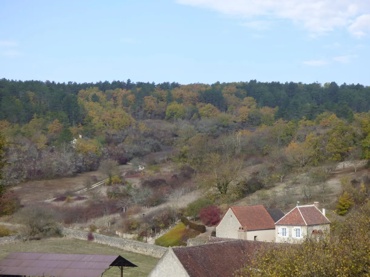 Wooded autumn hillside and village rooftops down below