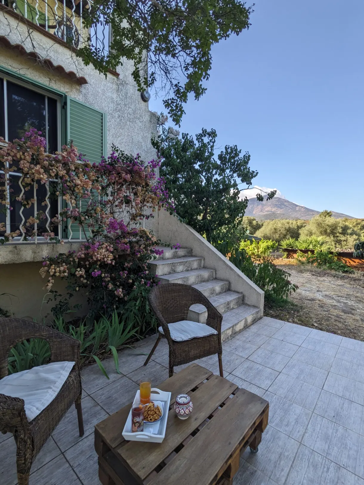 Staircase lined with bougainvillea leading to the terrace