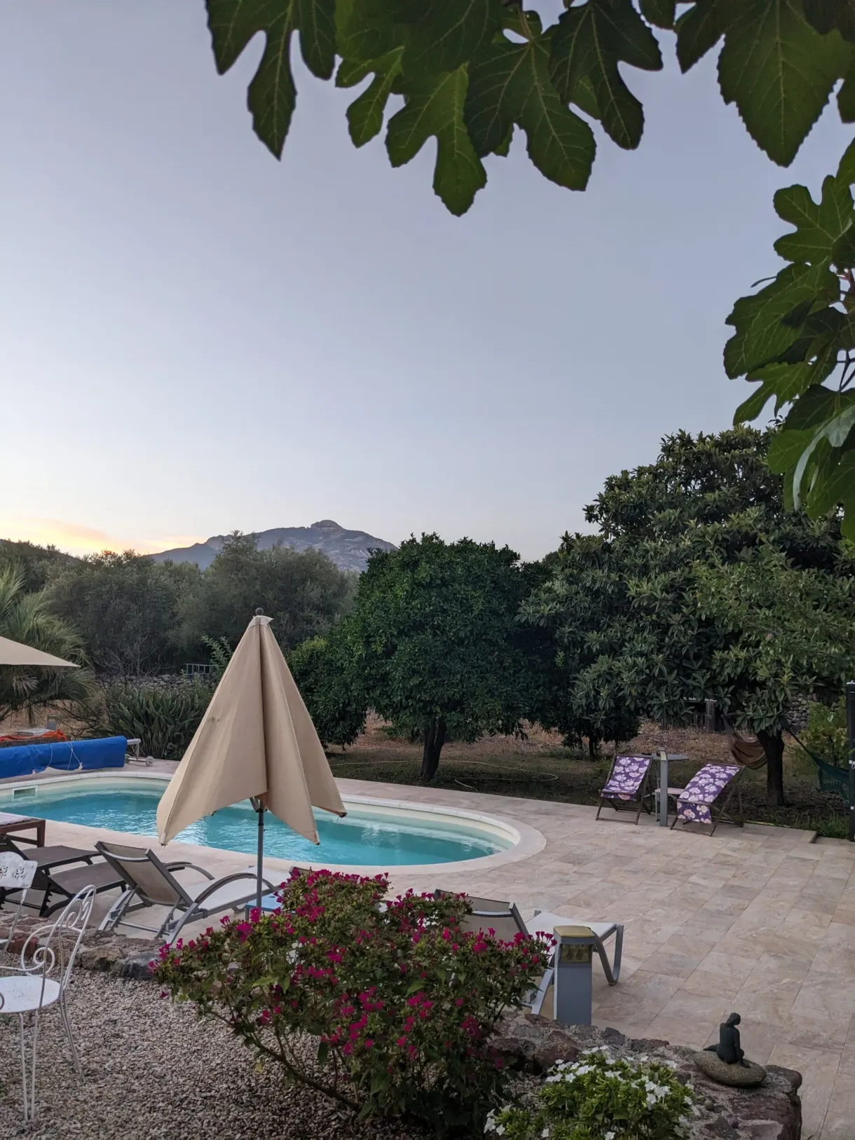 Swimming pool and closed parasol in the garden at dusk