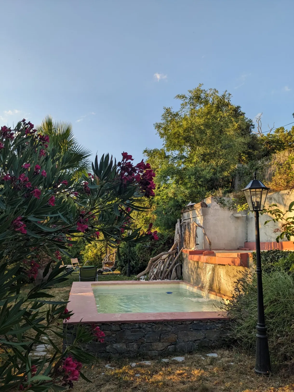 Stone pool surrounded by oleanders in flower