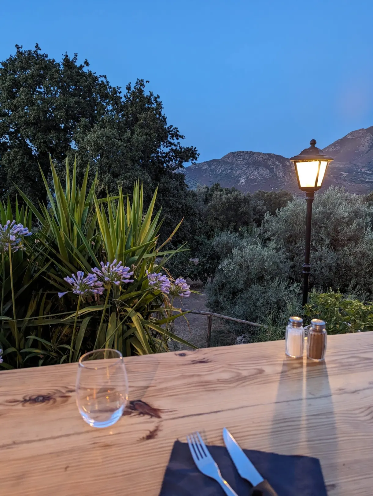 Table laid in a restaurant garden at nightfall
