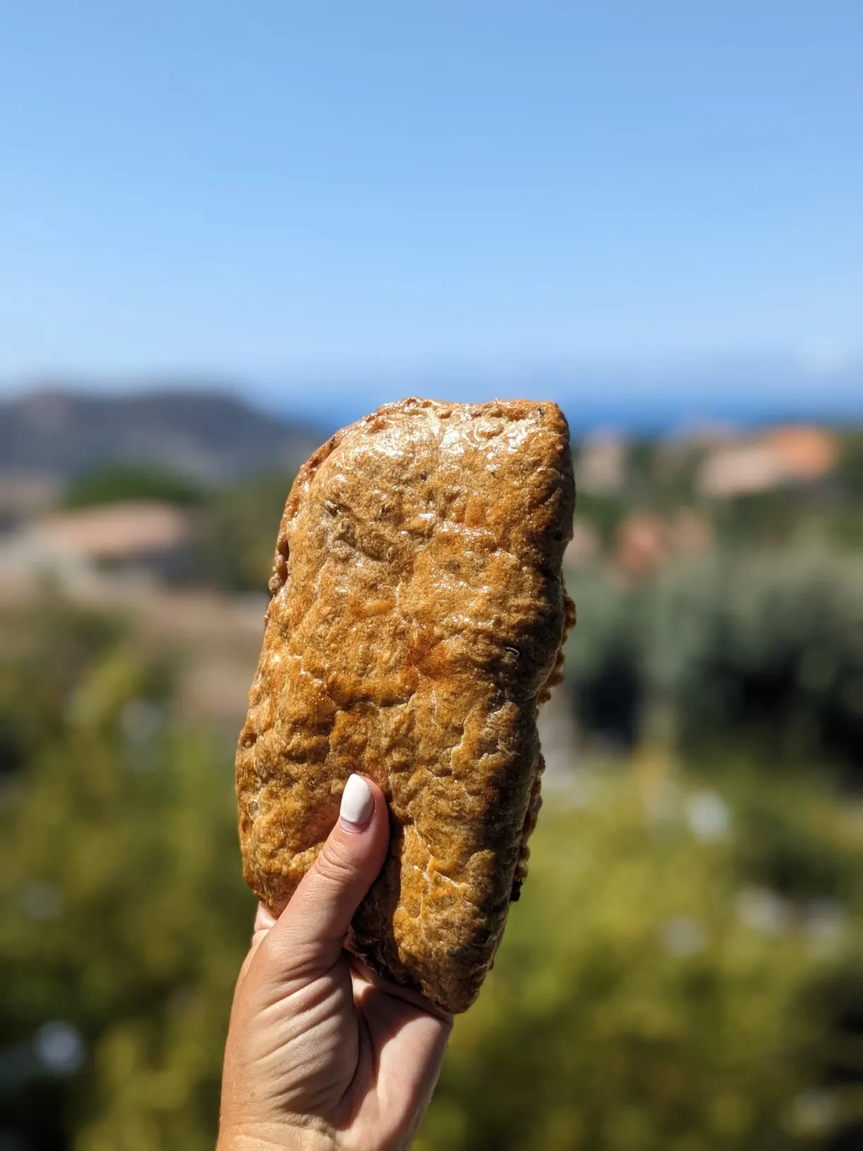 Crisp fritter held at the fingertips in front of the maquis