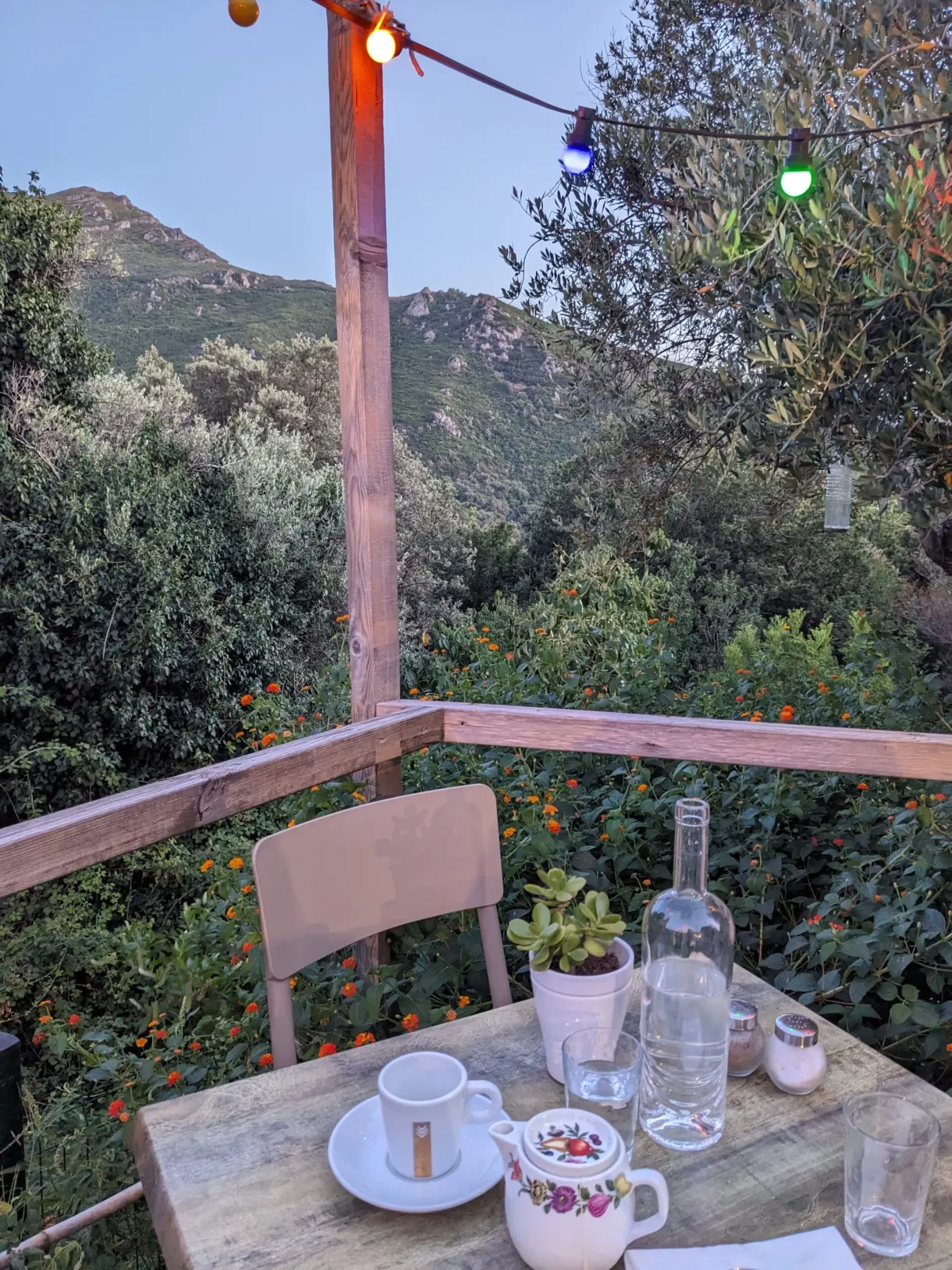 Morning coffee on a terrace table beneath the string lights