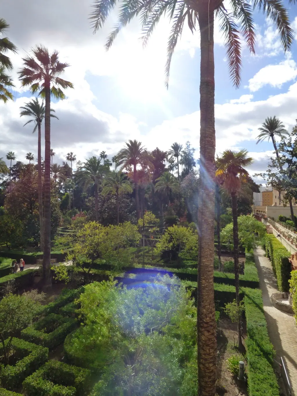 Terraced gardens seen from above, palm trees and clipped box