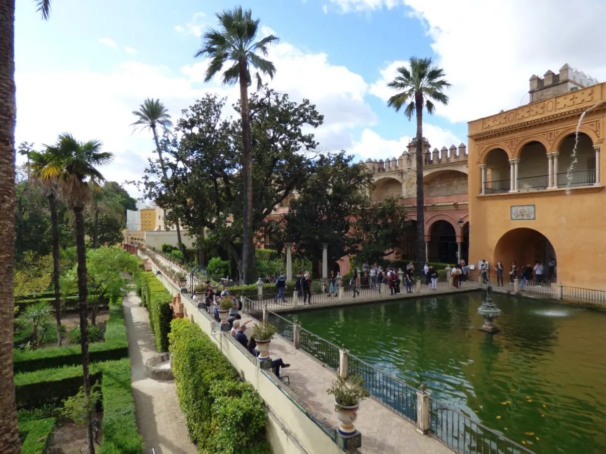 Long pool lined with palm trees in front of an ochre building