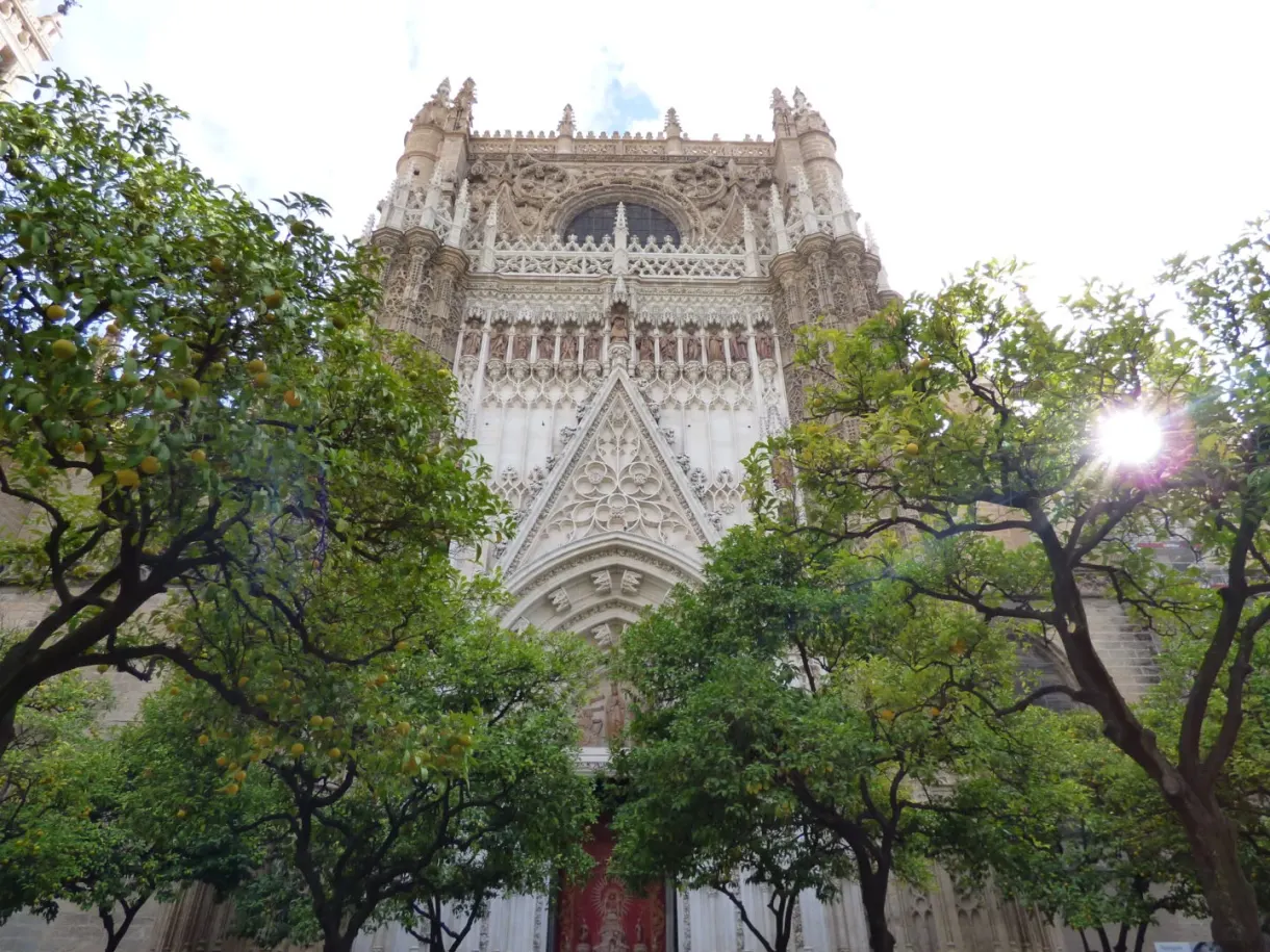 Lace-like facade glimpsed above the orange trees