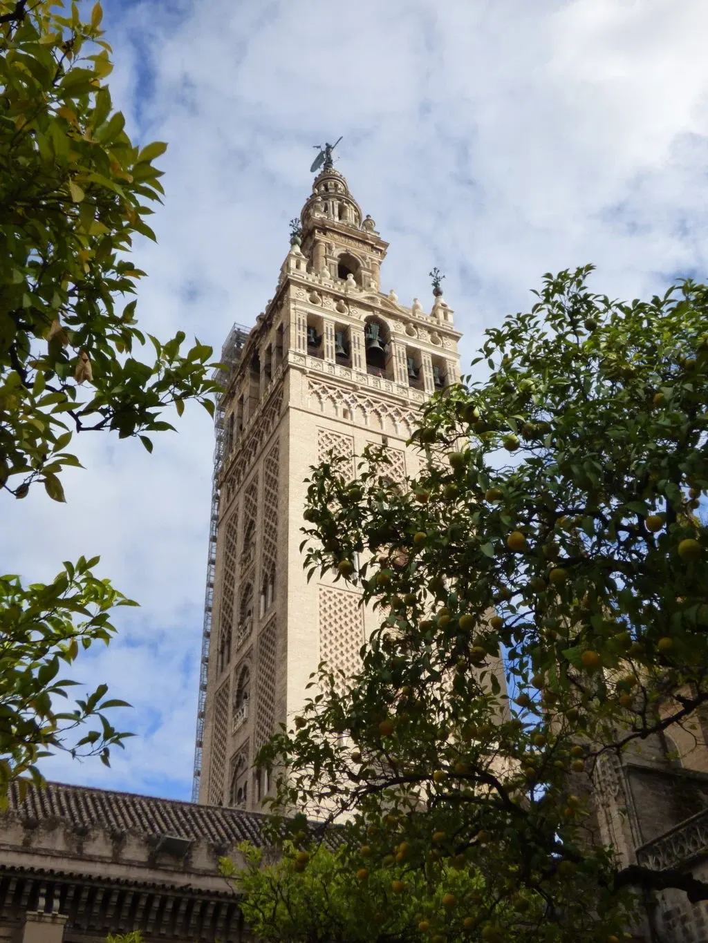 The Giralda rising above the orange trees of the patio