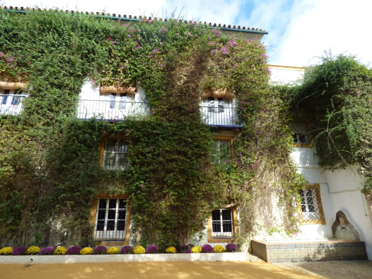 White facade covered with bougainvillea and iron balconies