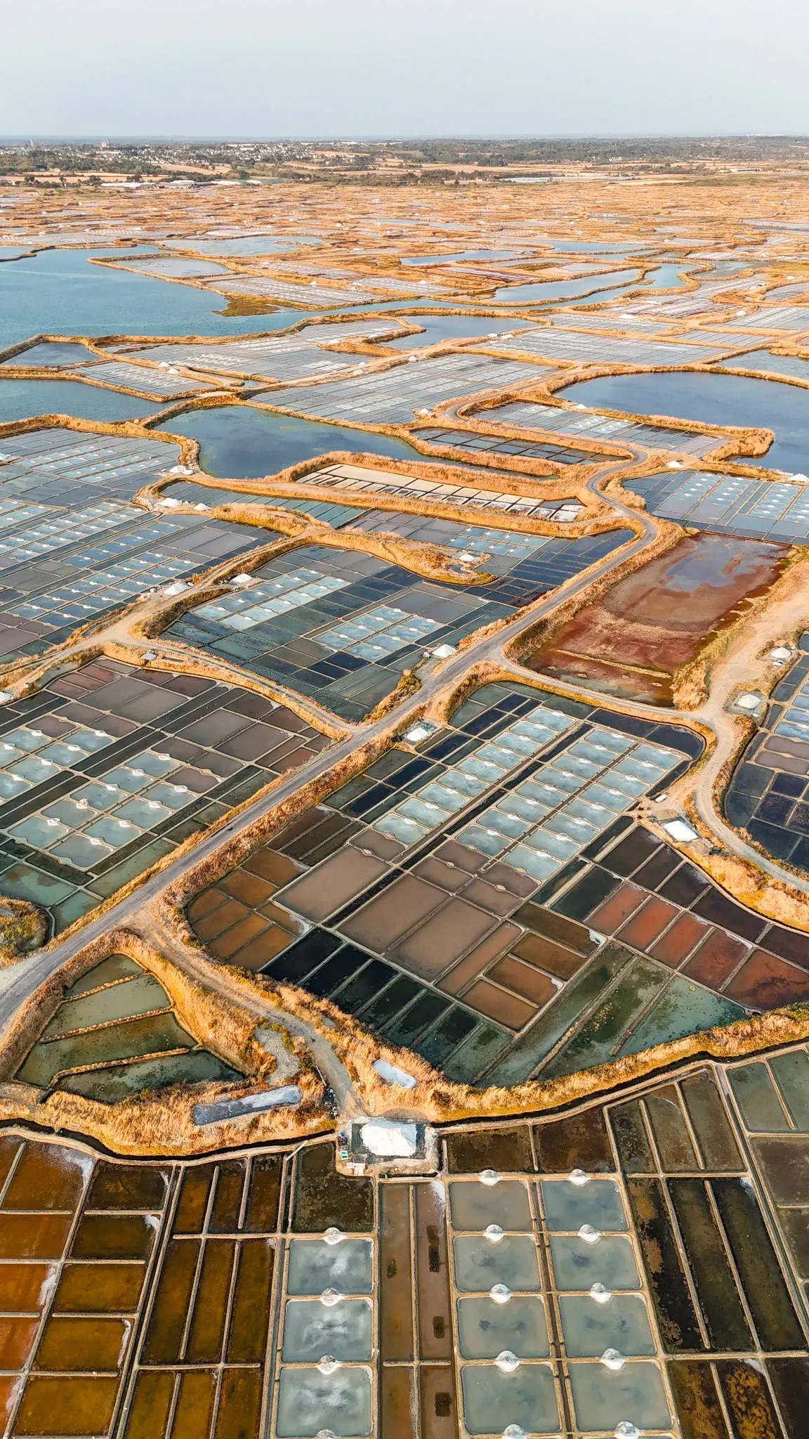 View of the old Guérande salt marshes