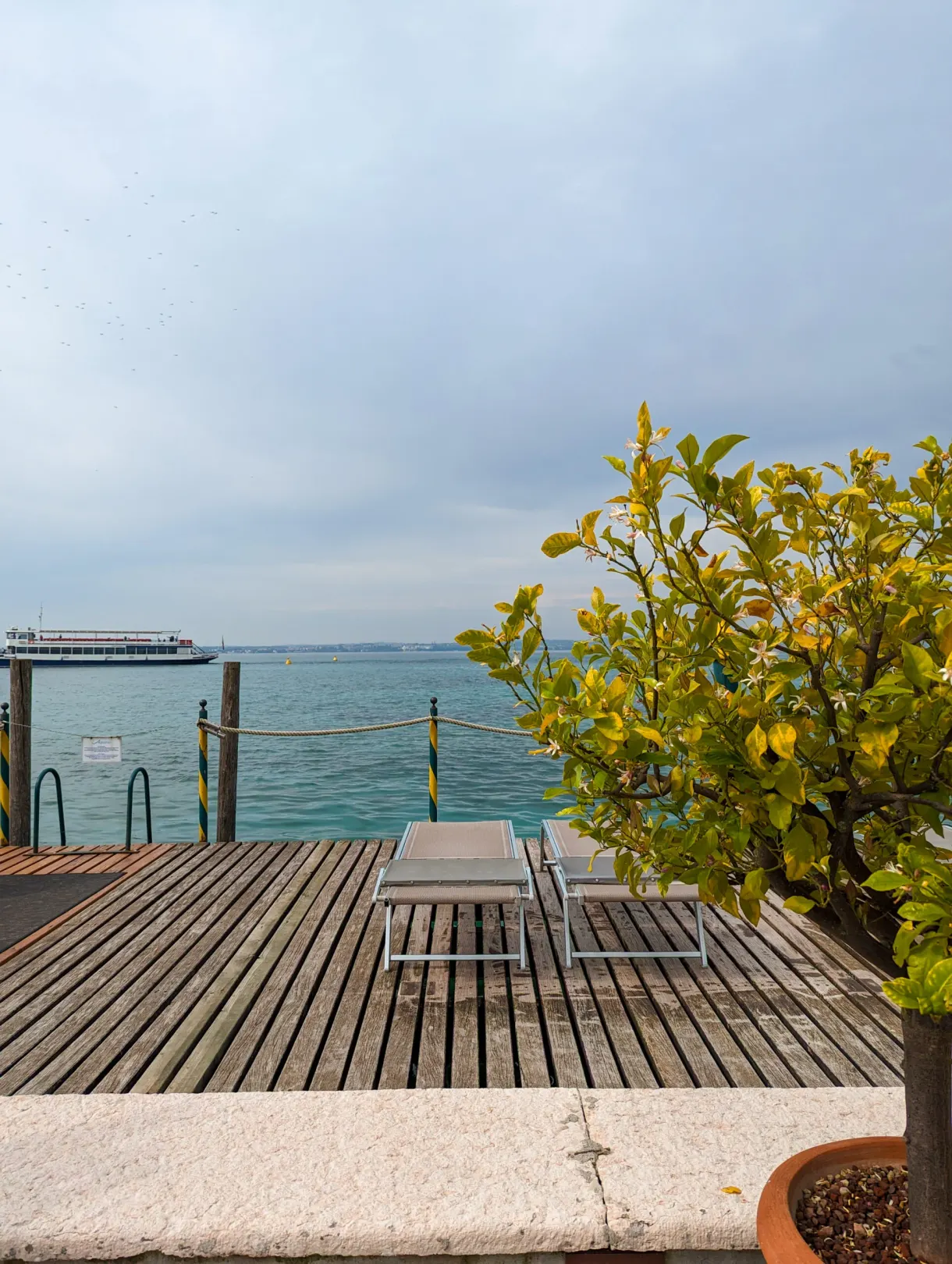 Transat et citronnier sur une terrasse en bois