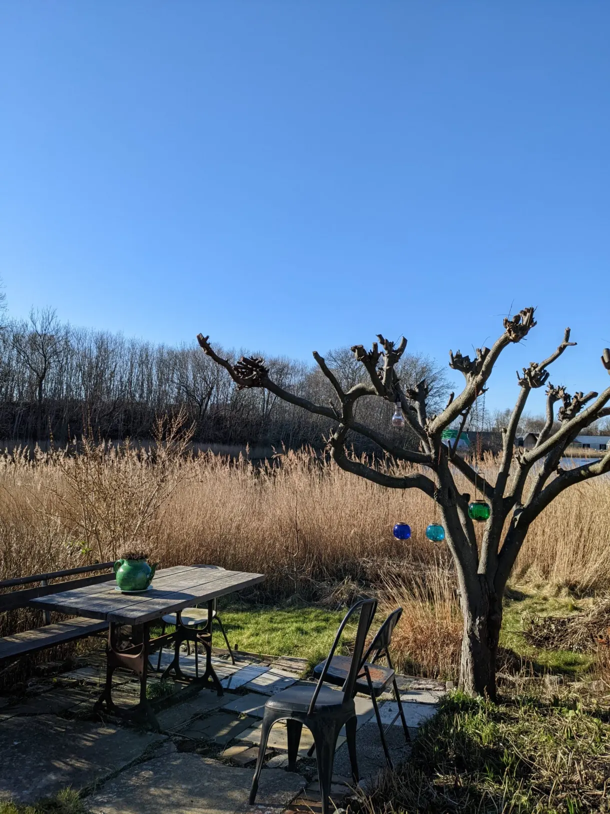 Table et chaises dépareillées installées face aux roseaux du canal
