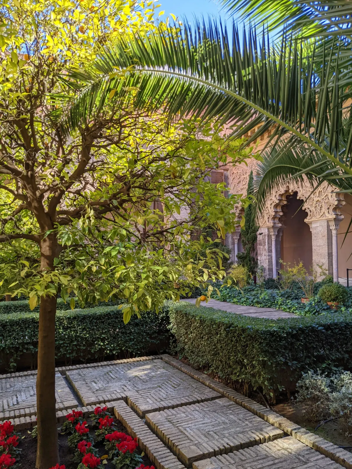 Patio planted with orange trees and palms at the heart of the palace
