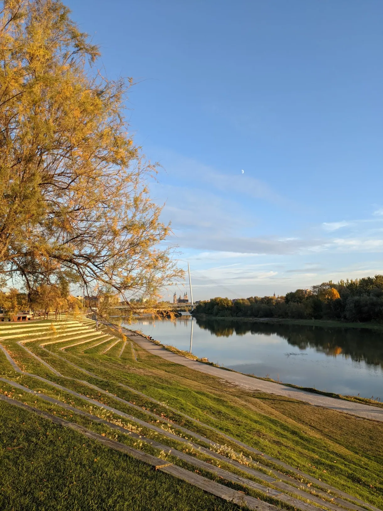 Banks of the Ebro with trees golden in autumn