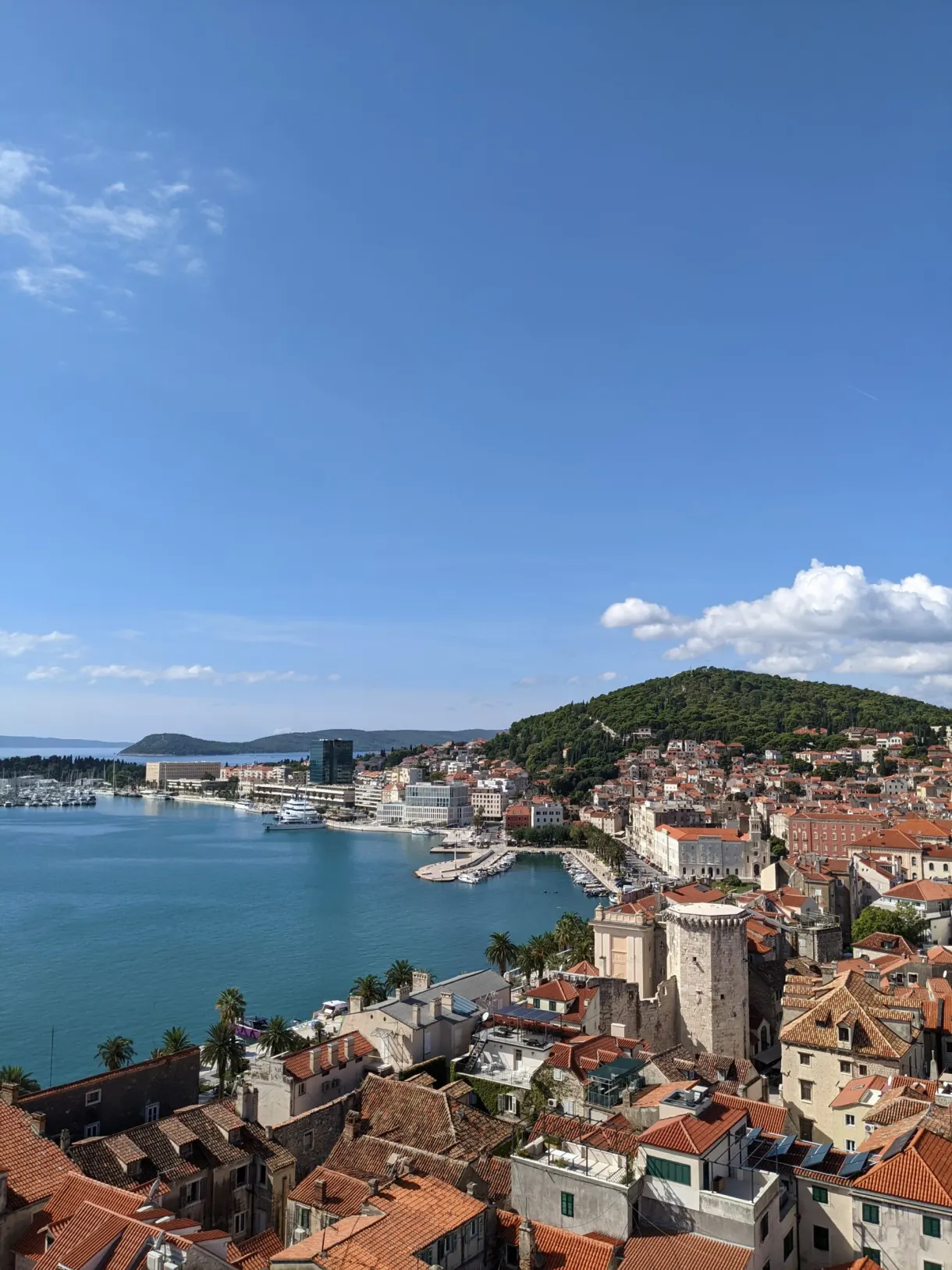 Tiled roofs, bay and hills seen from the bell tower