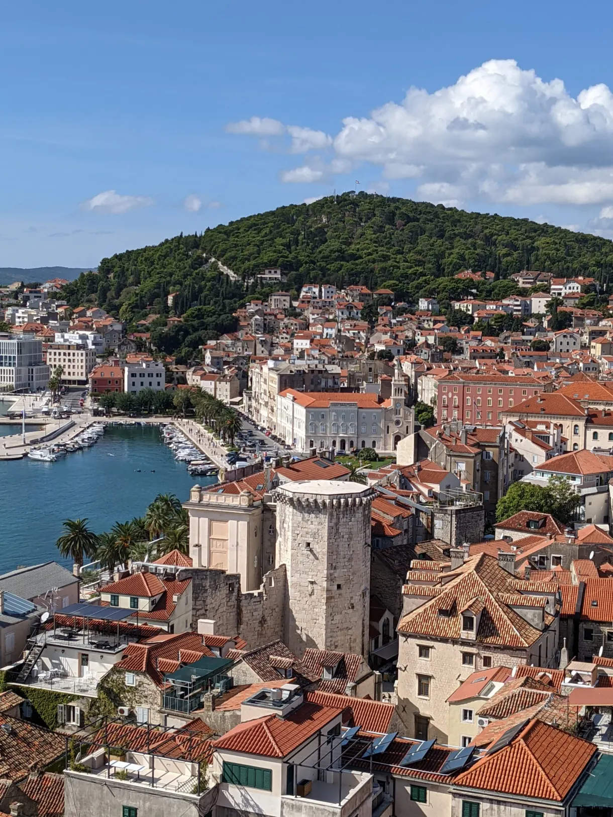 Wooded hill overlooking the orange roofs and the harbour