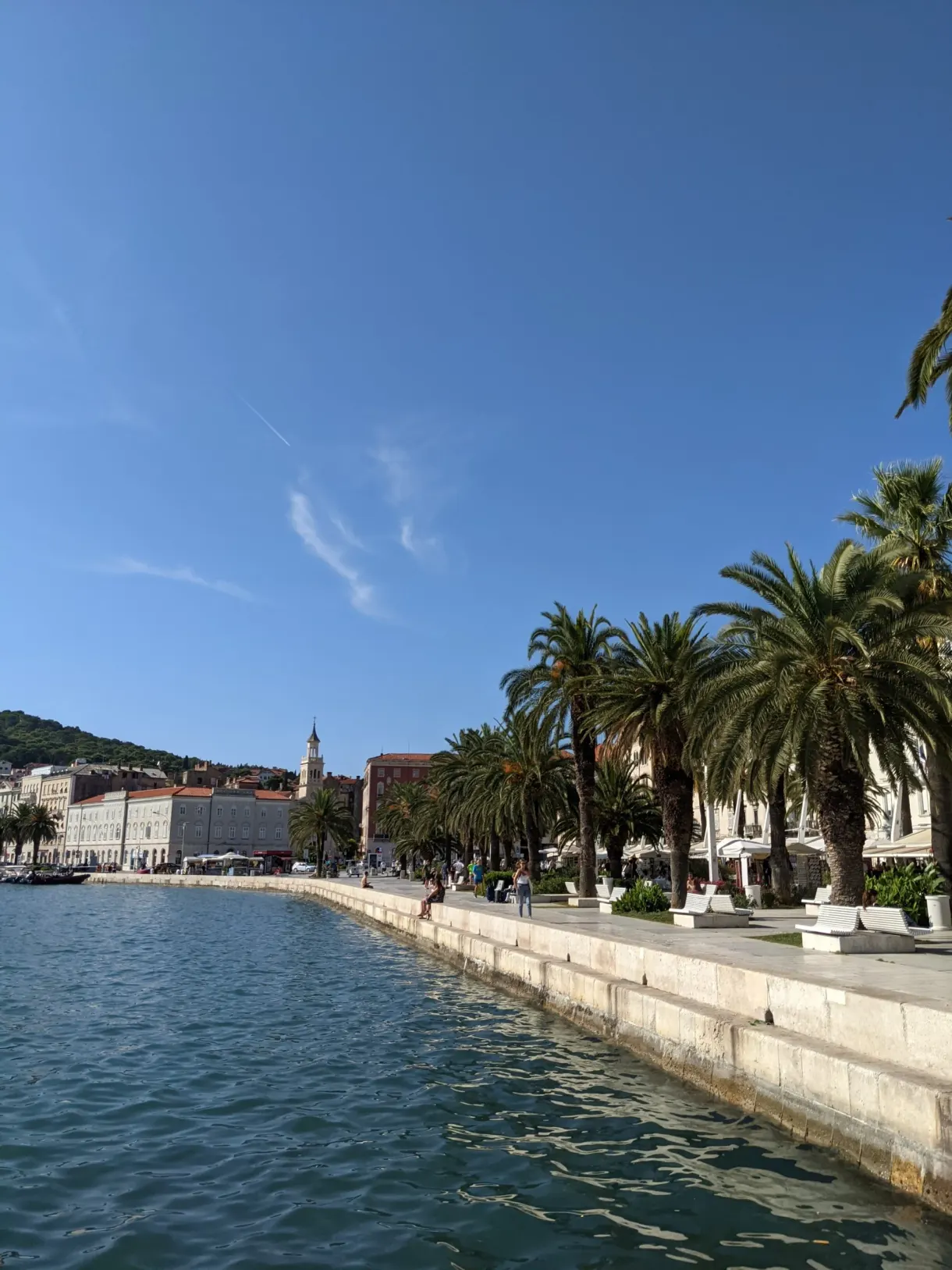 Seafront promenade lined with palm trees and turquoise water