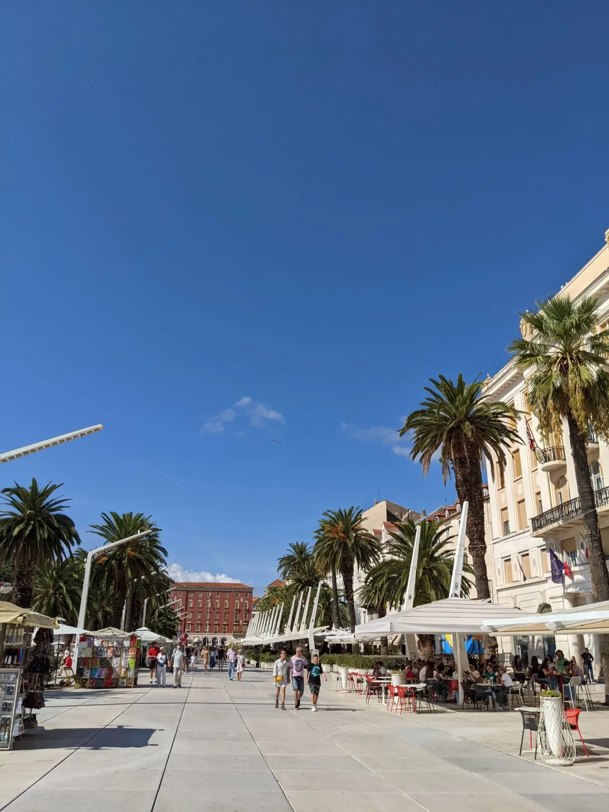 Paved esplanade, palm trees and a row of cafe terraces