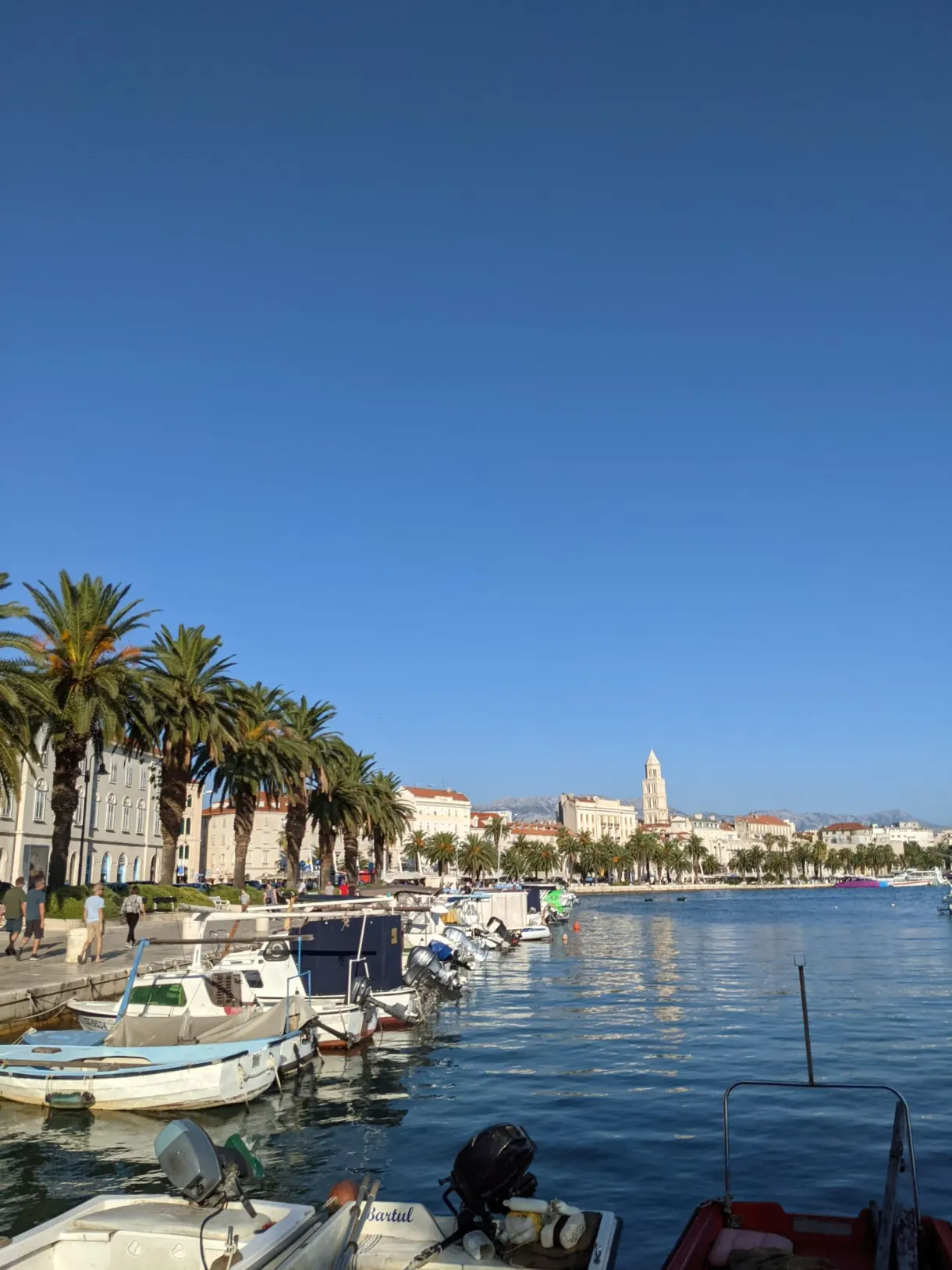 Fishing boats moored in front of the tree lined seafront