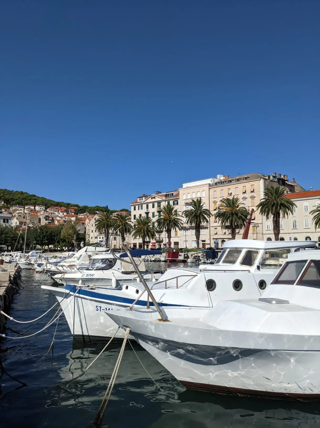 White yachts lined up in the marina