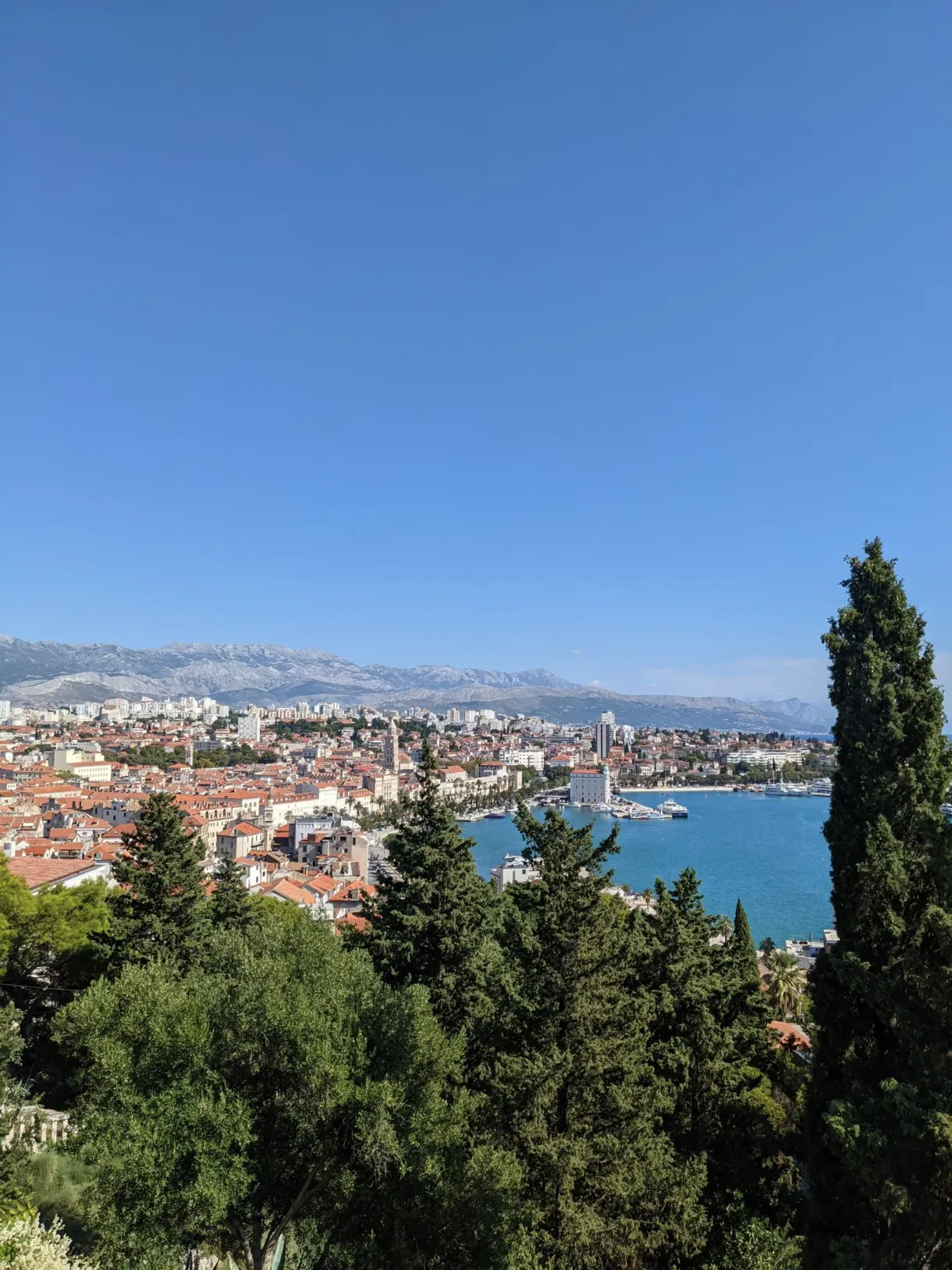Panorama over the town and the bay from a wooded path