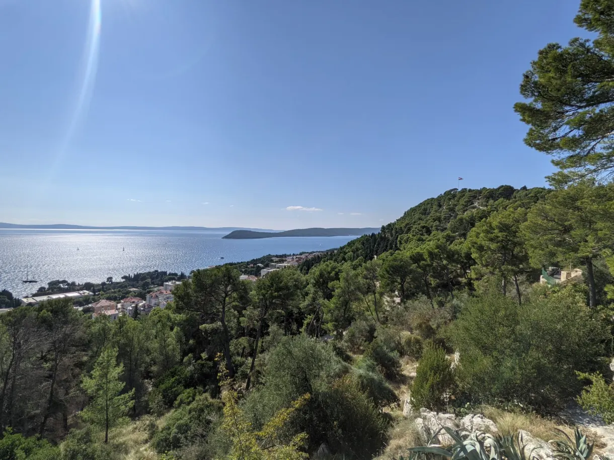 Sparkling sea and pine wood seen from the ridge path