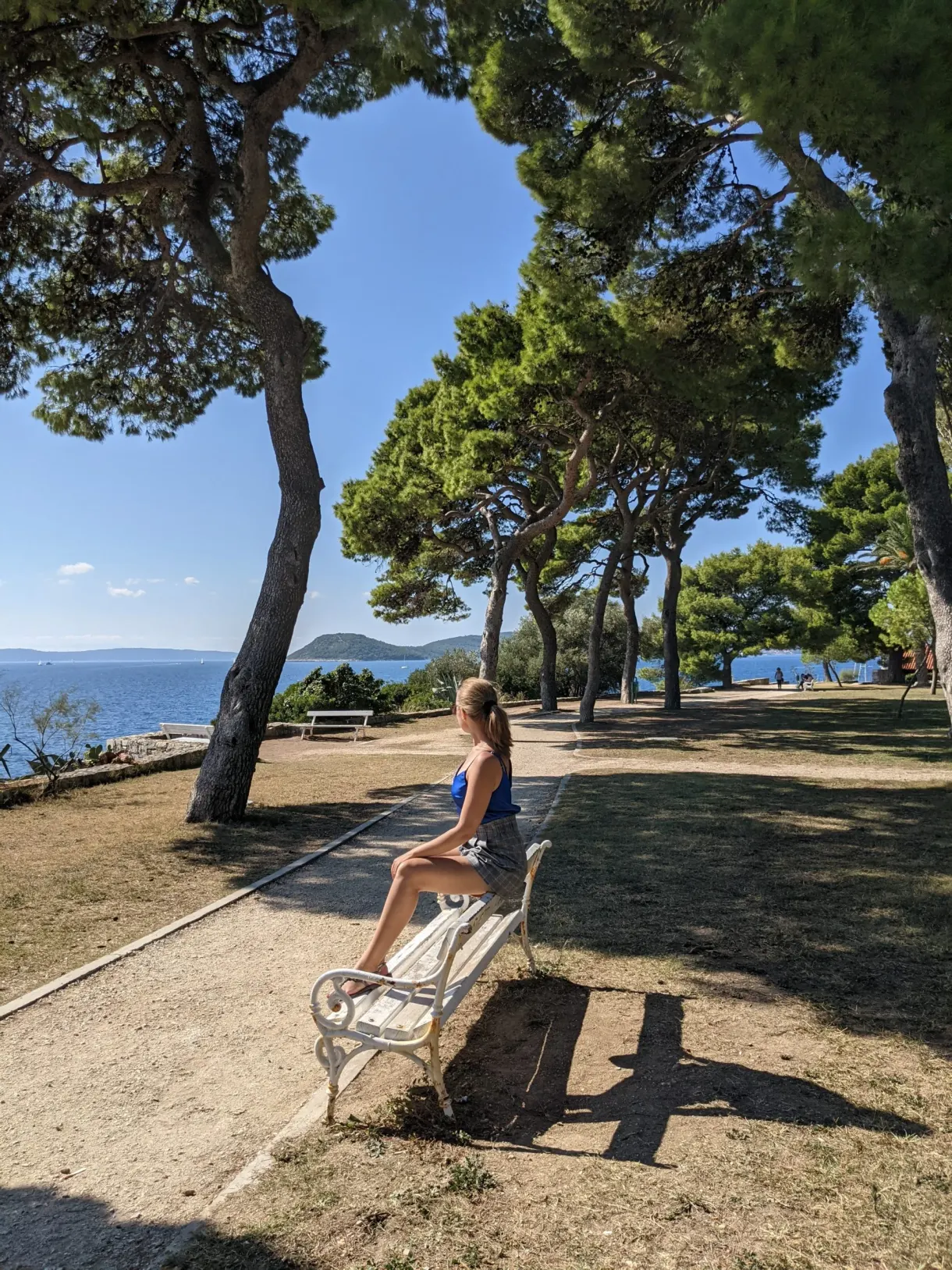 Woman sitting on a white bench under the umbrella pines