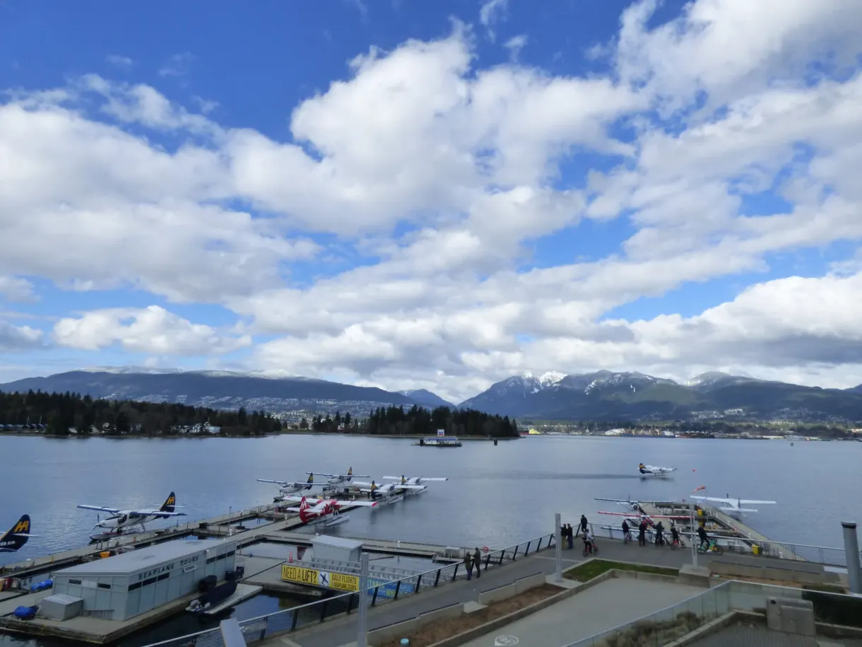 Seaplanes moored along the jetties of the harbour