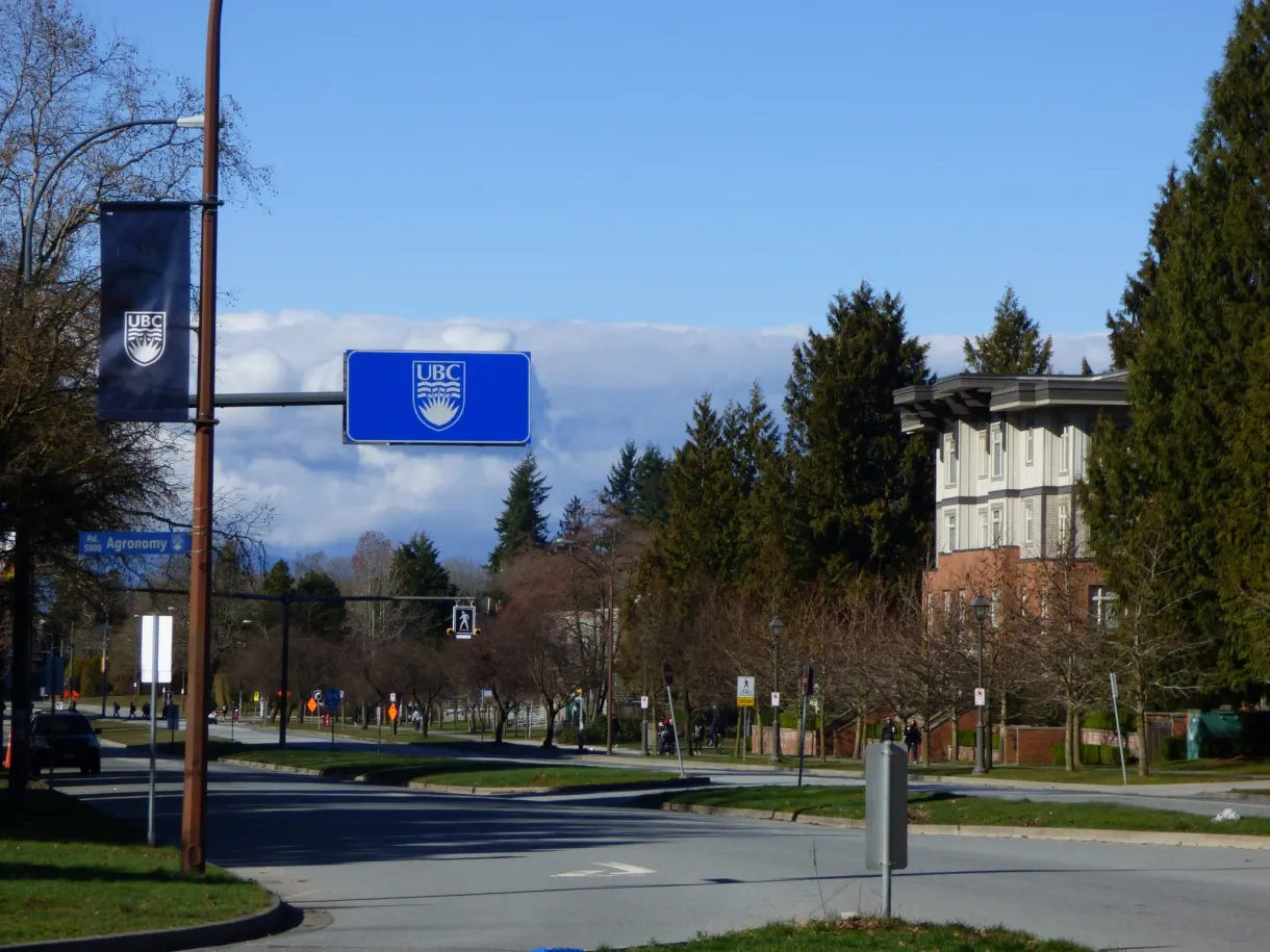 Campus pennants along a deserted avenue