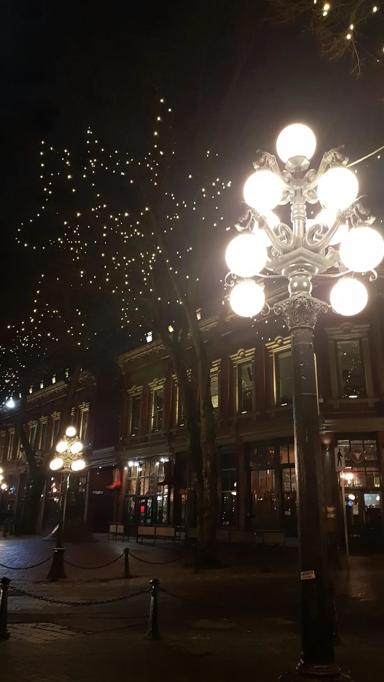 Lit lamp post and string lights after dark