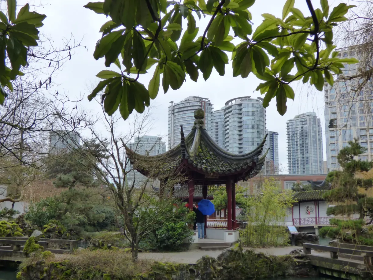 Pavilion of the Chinese garden framed by foliage