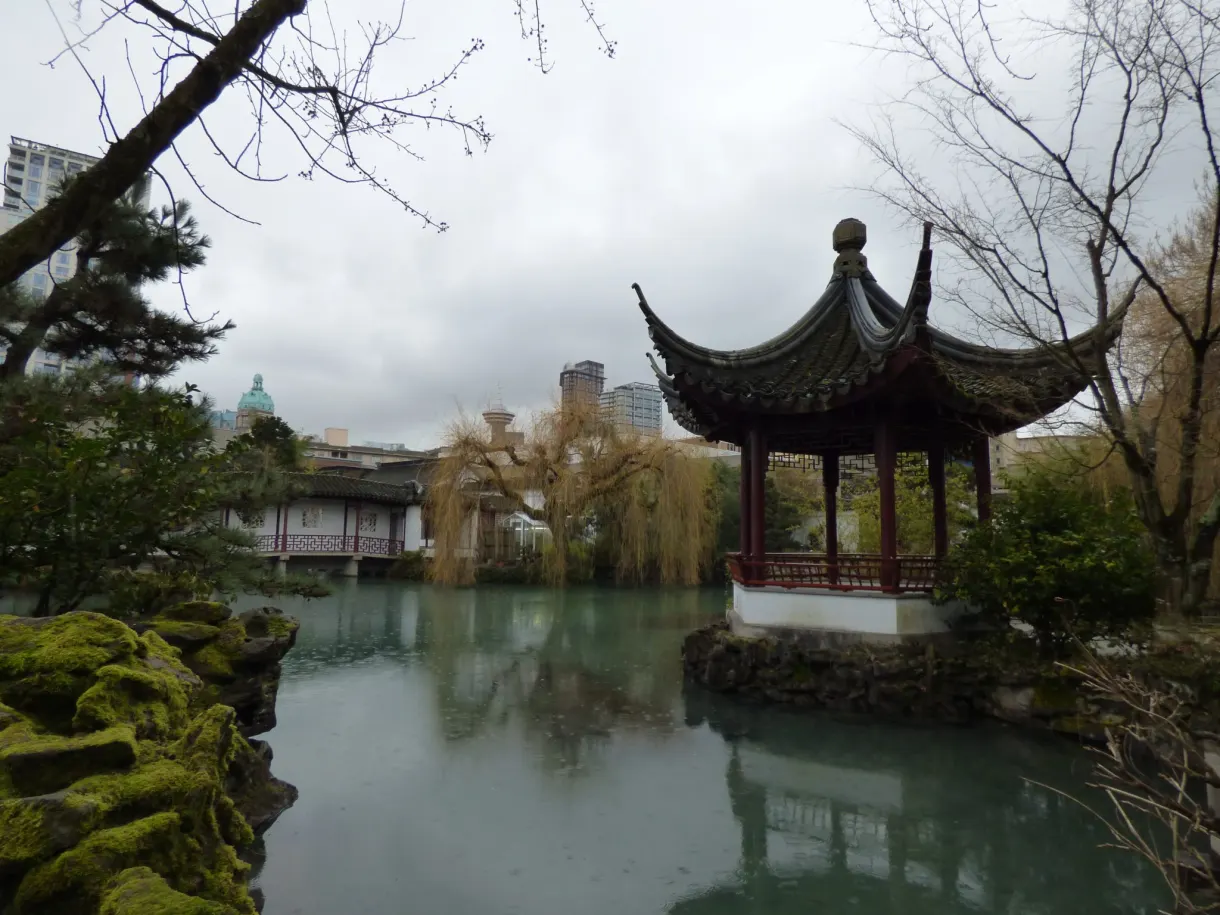 Pavilion set on a green pond surrounded by willows