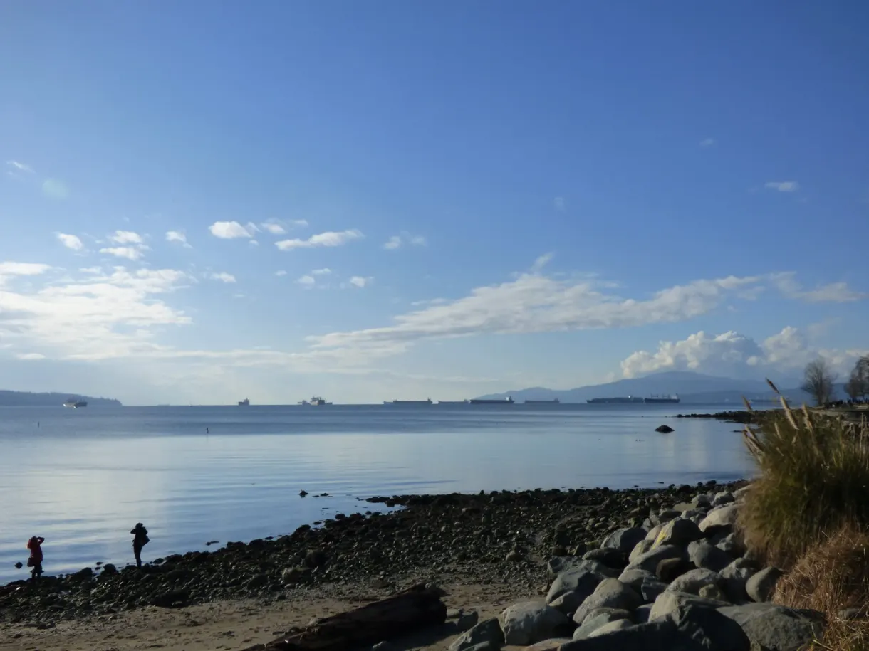 Pebbles and driftwood in front of the cargo ships at anchor