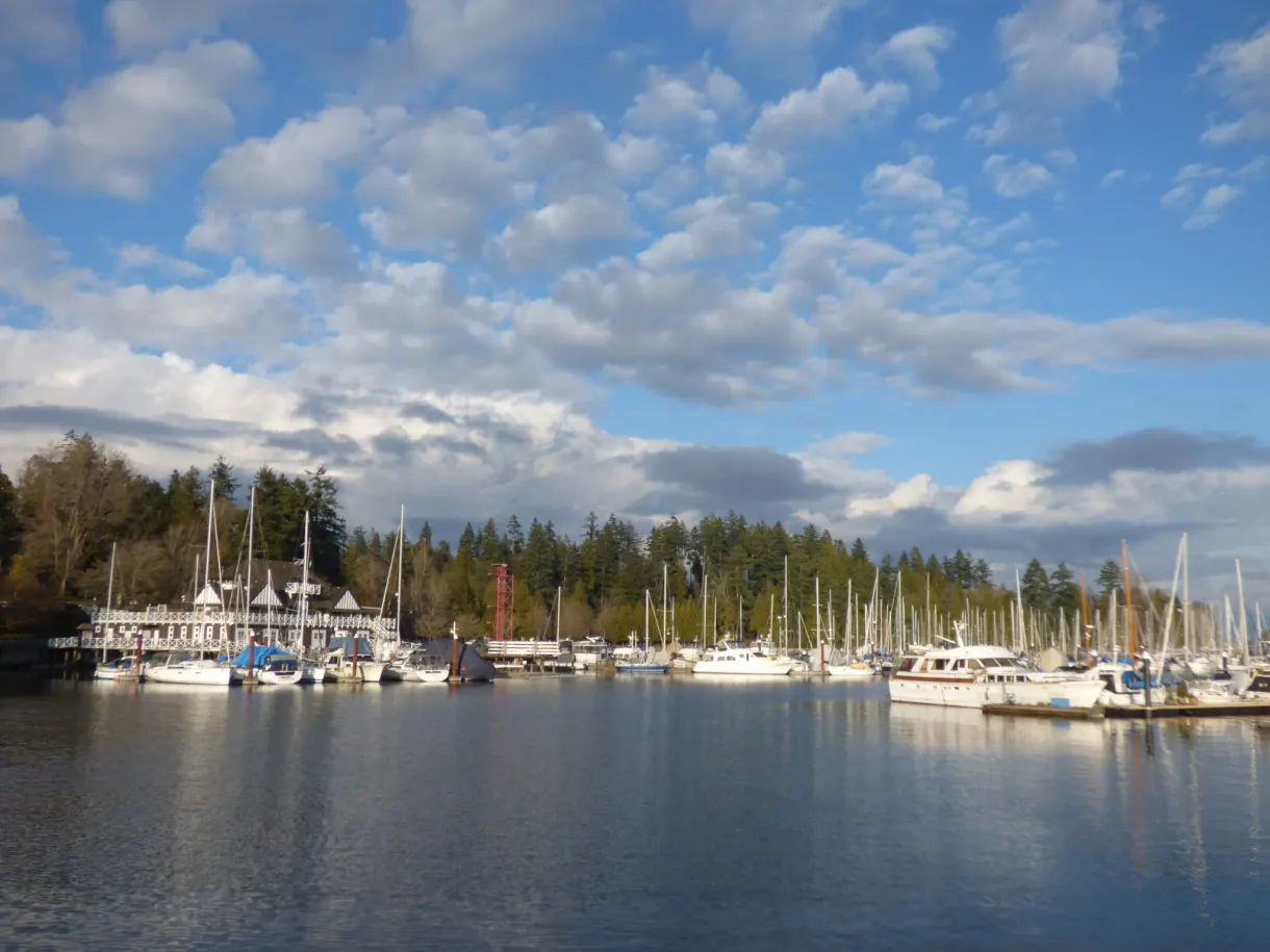 Sailing boats lined up in front of the yacht club