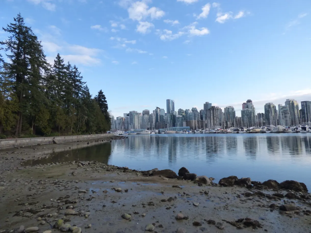 Rocky shore of the park facing the skyscrapers