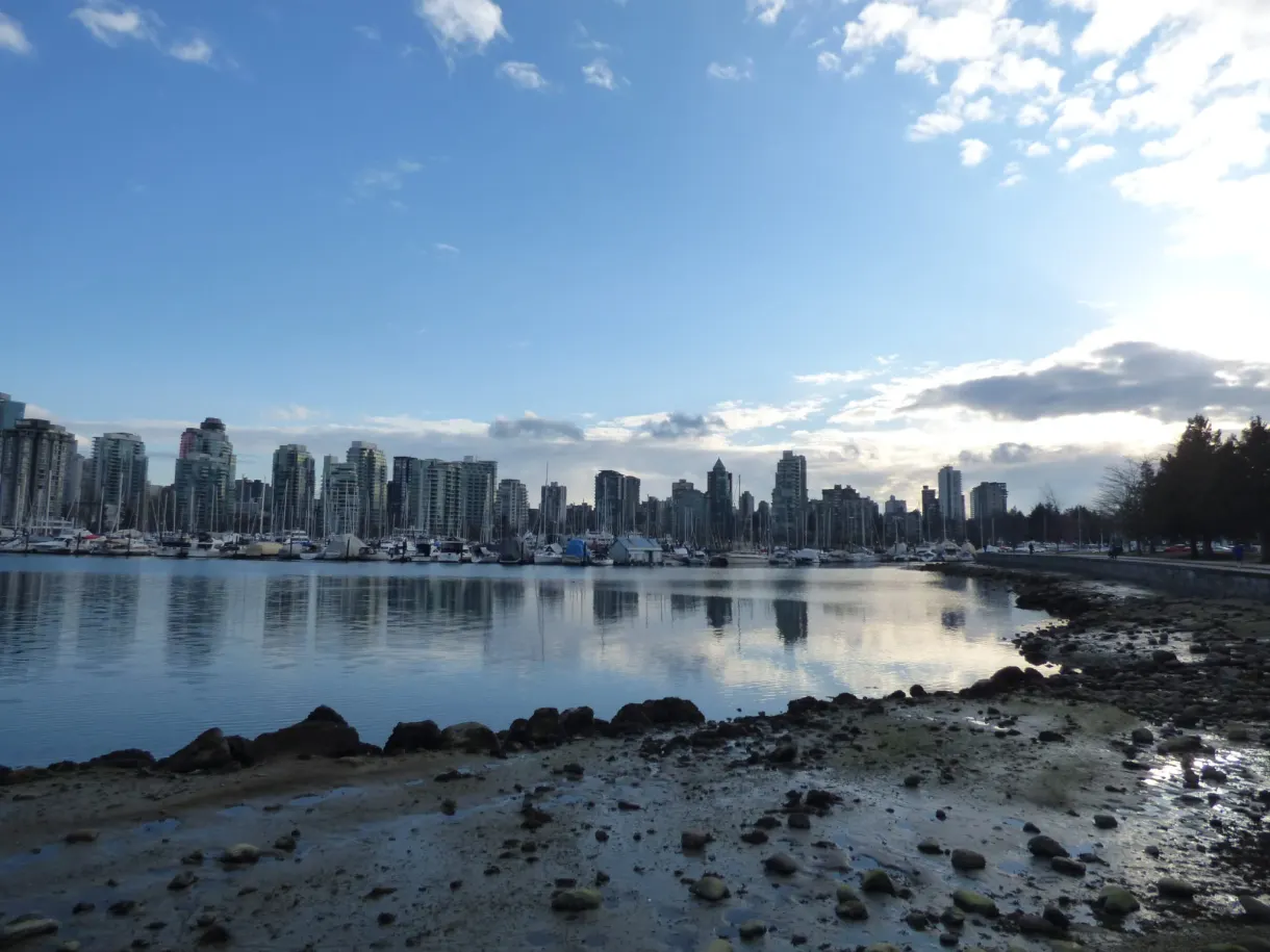 Rocky foreshore at low tide in front of the city