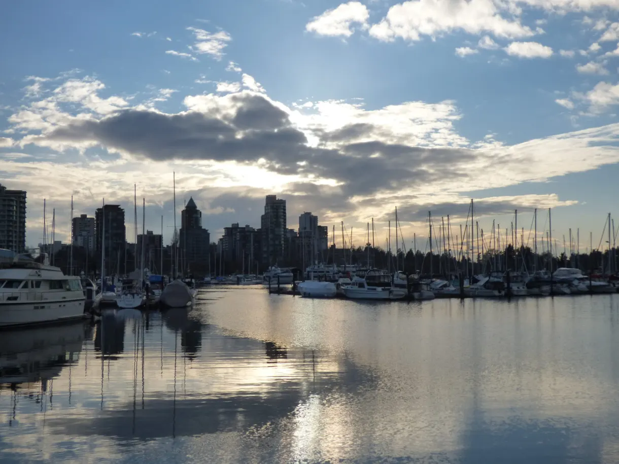 Golden reflections on the backlit marina