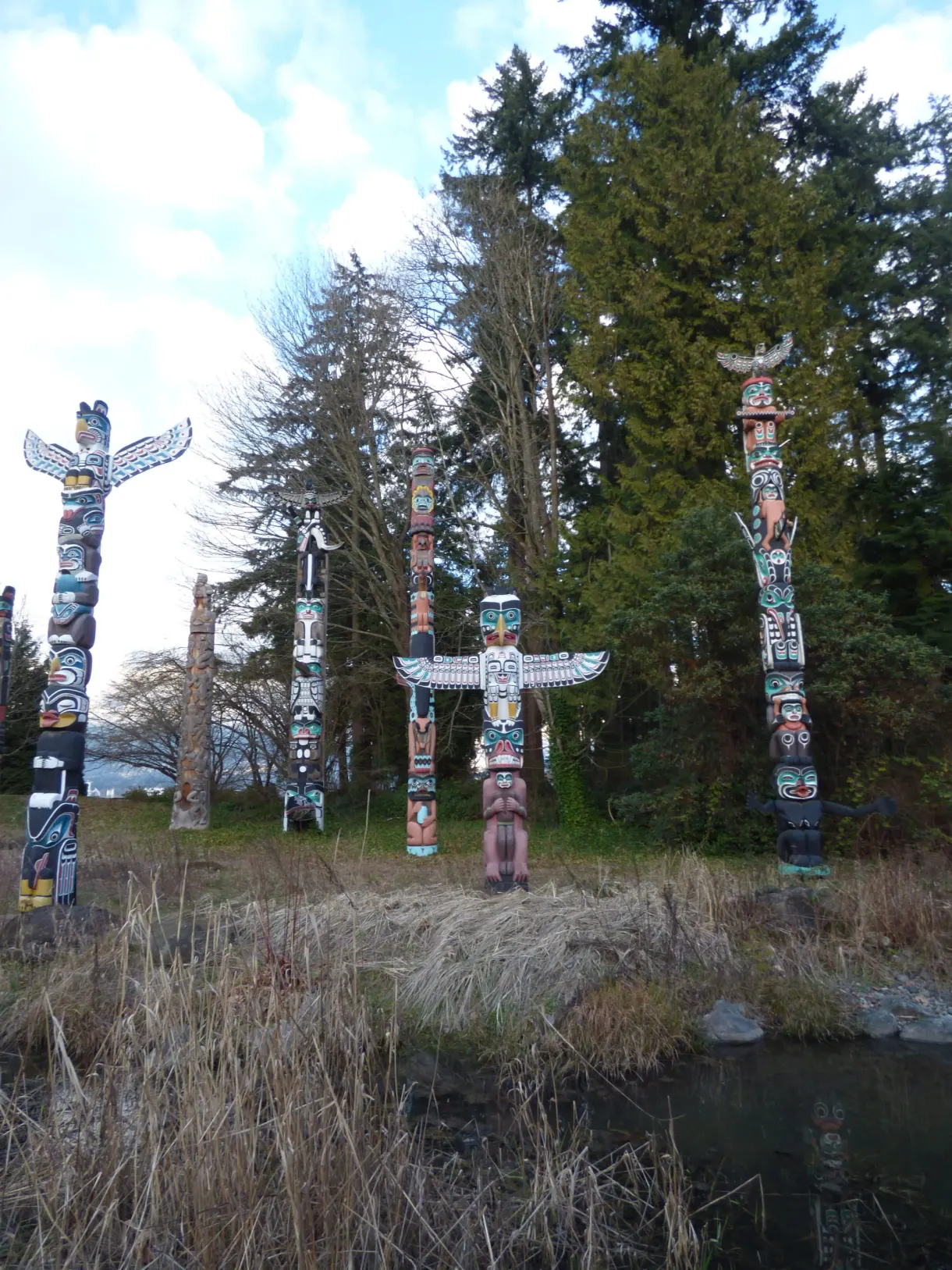 Totem poles standing in a clearing among the conifers
