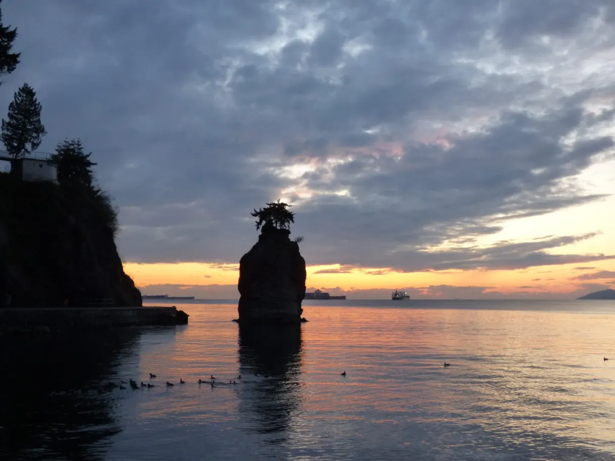 Rock topped by a tree in silhouette at dusk