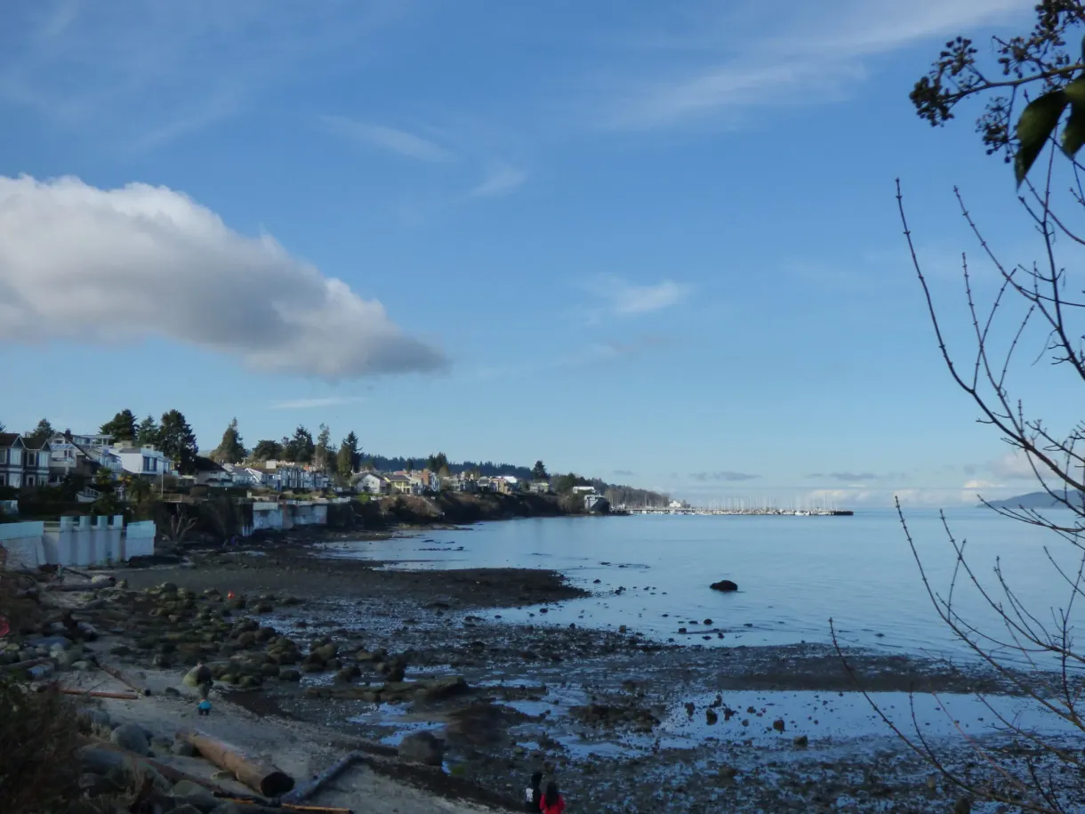 Houses clinging to the hillside above the foreshore
