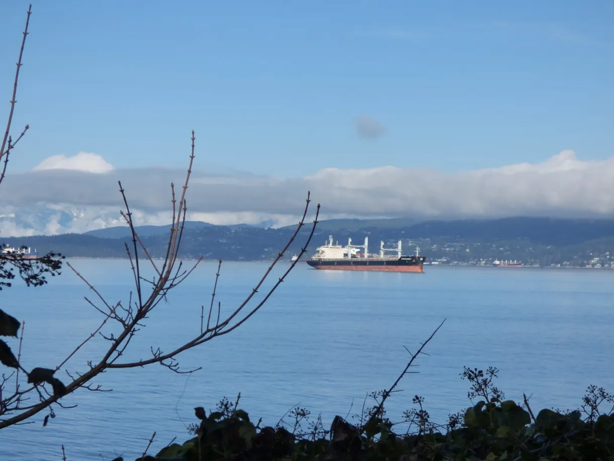 Cargo ship at anchor in front of the mountains of the north shore