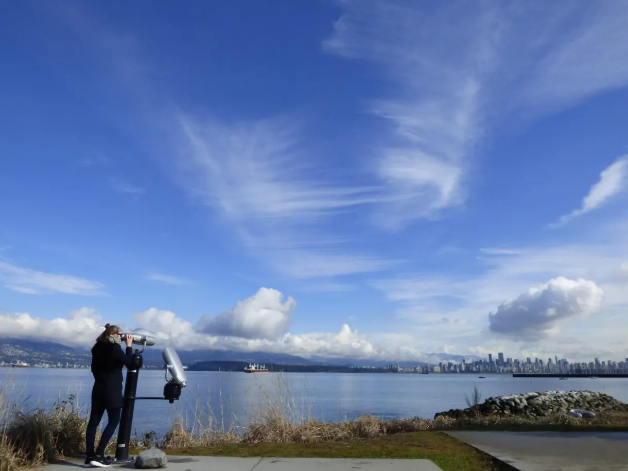 Photographer and his tripod facing the bay