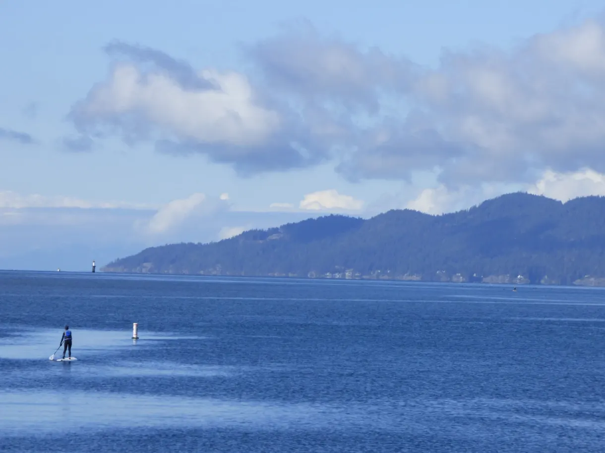 Paddleboarder in front of a wooded mountain
