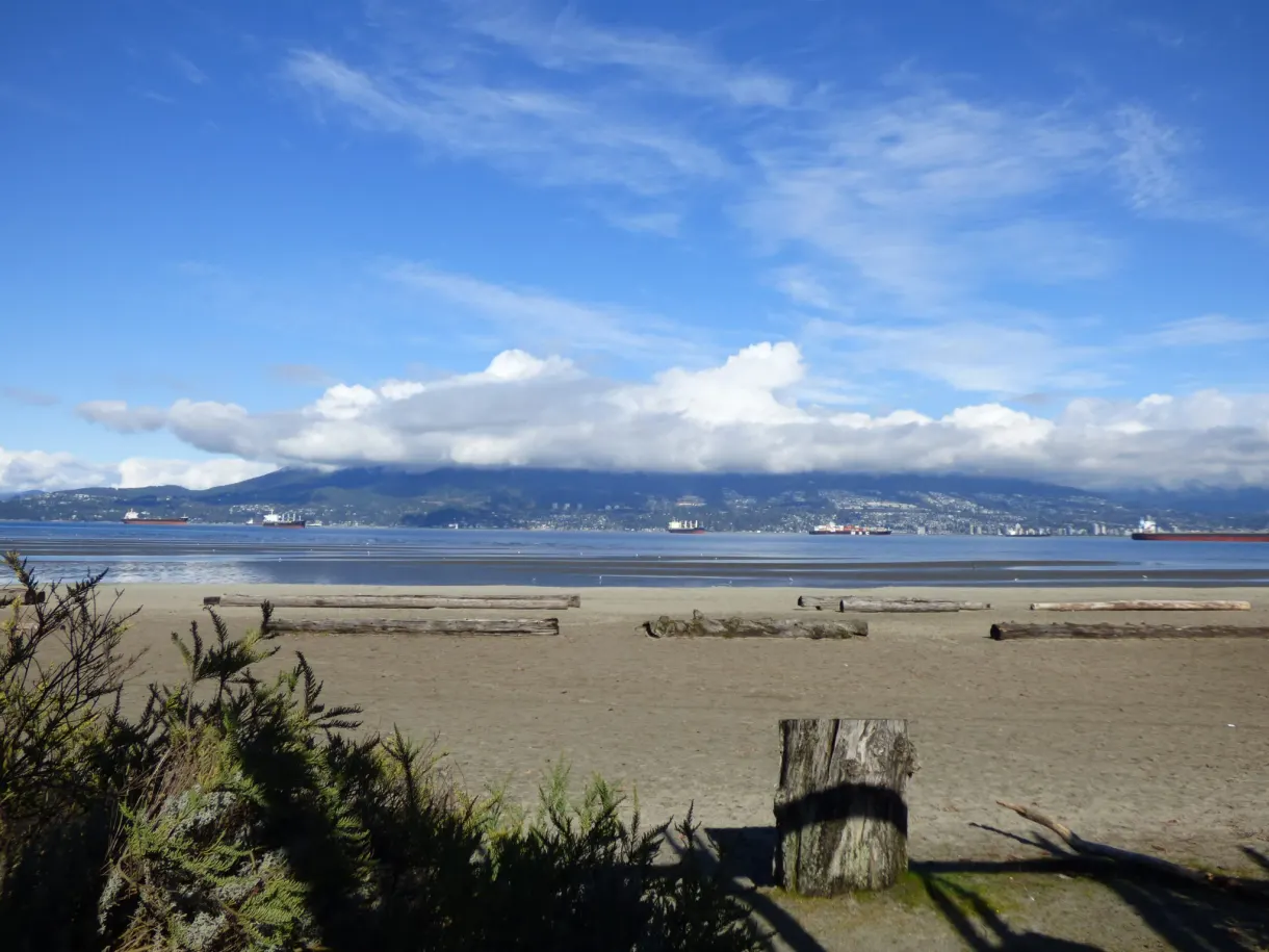 Long empty sandy beach lined with dry grasses