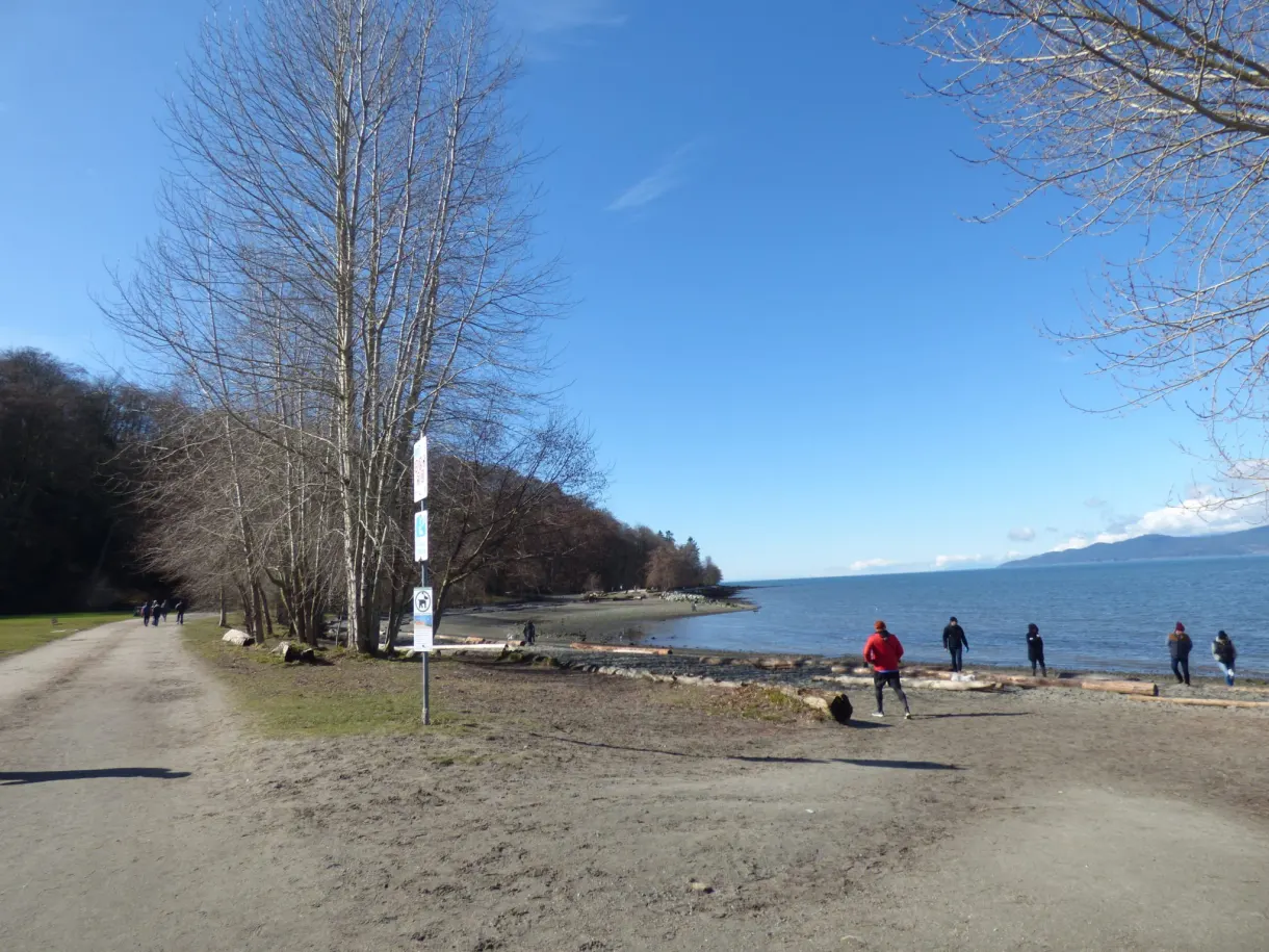Dirt path reaching the beach between the bare trees
