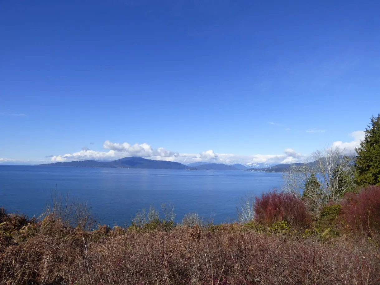 Scrubby cliff overlooking the strait and an island