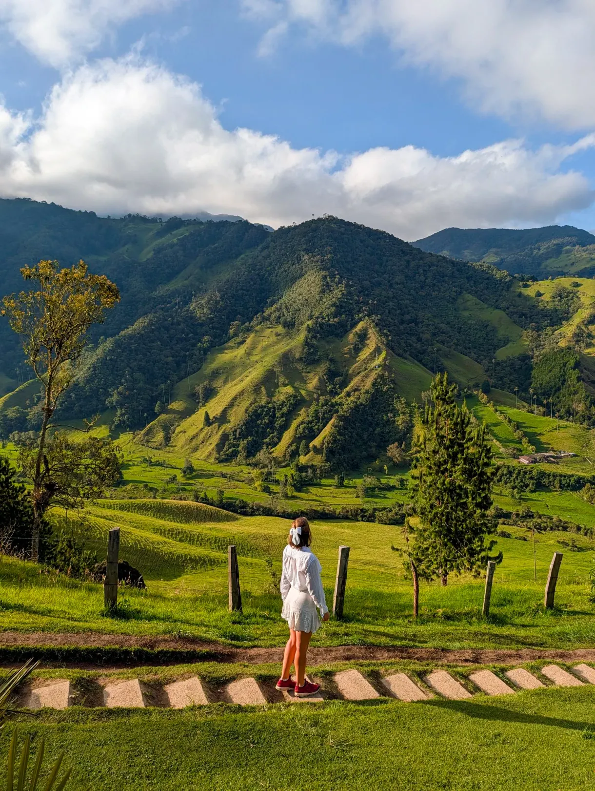 Marie facing the green hills of the Cocora Valley, in Colombia
