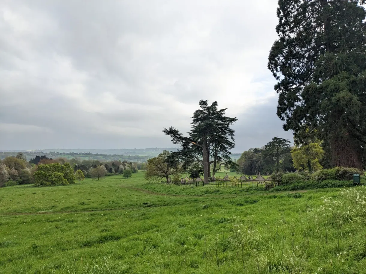 Vast meadow dotted with trees under a grey sky