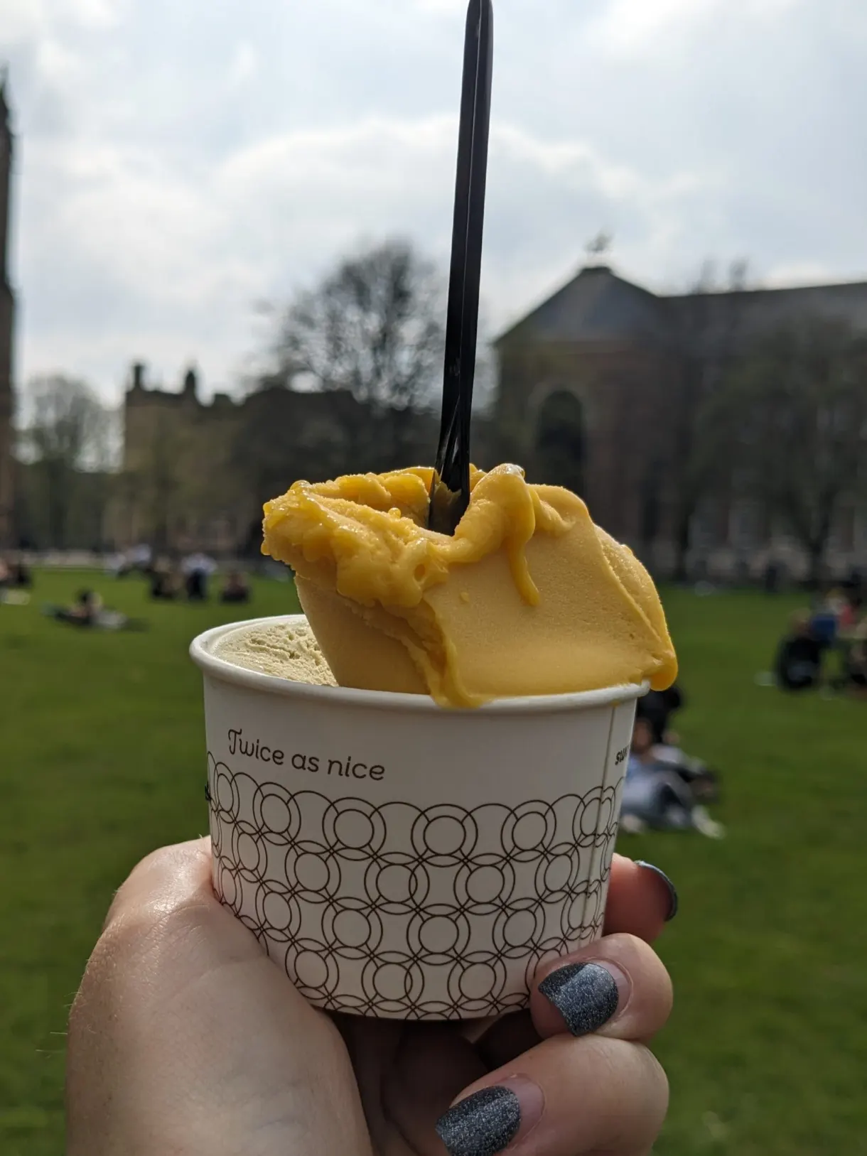 Tub of ice cream held up in front of a lawn and a stone pavilion