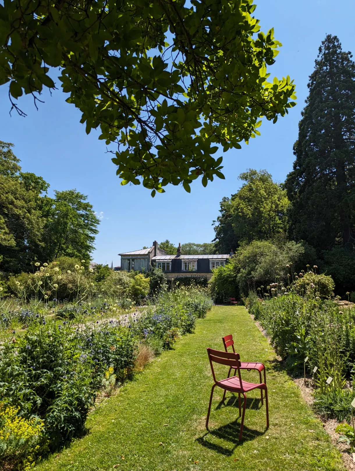 Pink chair set in the grassy path of a kitchen garden