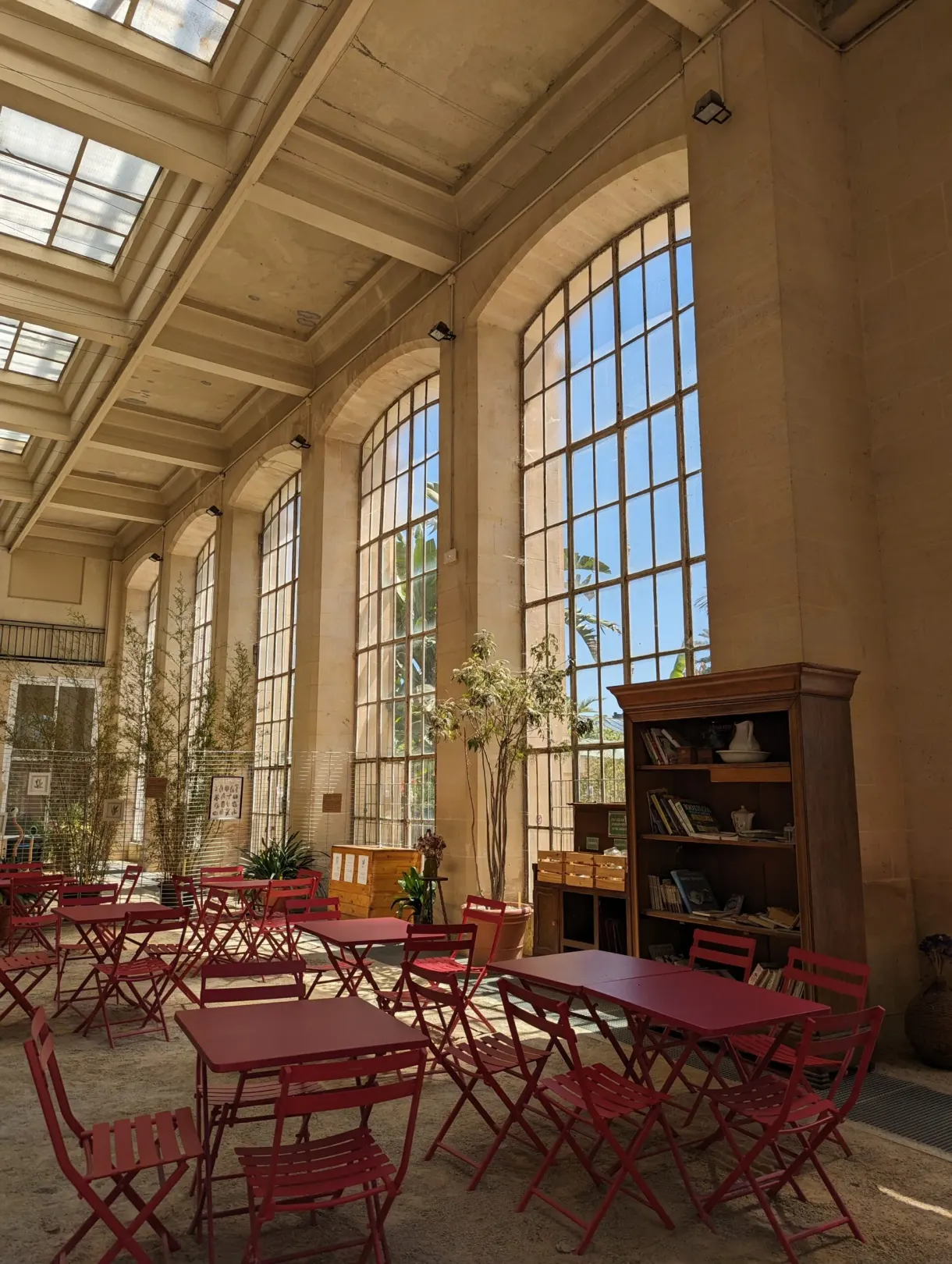 Red tables and chairs lined up under the glass roof of an orangery